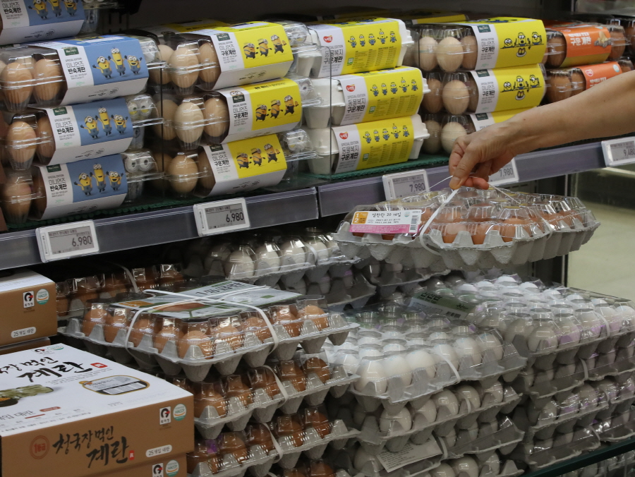 소비자물가 상승과 함께 AI에 따른 살처분 및 코로나 재확산 영향으로 계란값이 고공행진을 하고 있다.